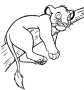 magicolor.free.fr_roi lion (39) * 660 x 703 * (10KB)